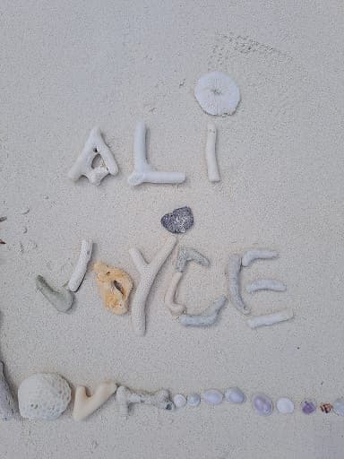 ali cruise ship