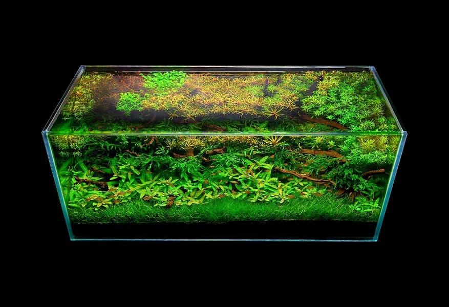 Aquascaping