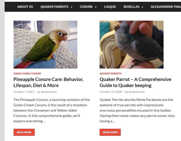 Parrot Keeping Website